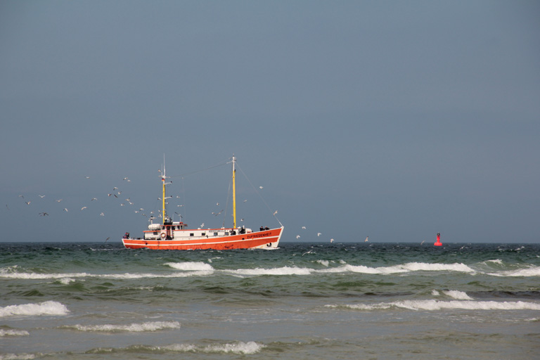 Kuttereinlauf